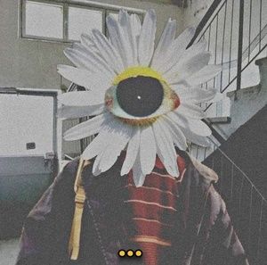 Meet your Posher, Moth